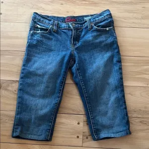 Blue Cult USA Relaxed Fit Bermuda Shorts (vintage 90s)