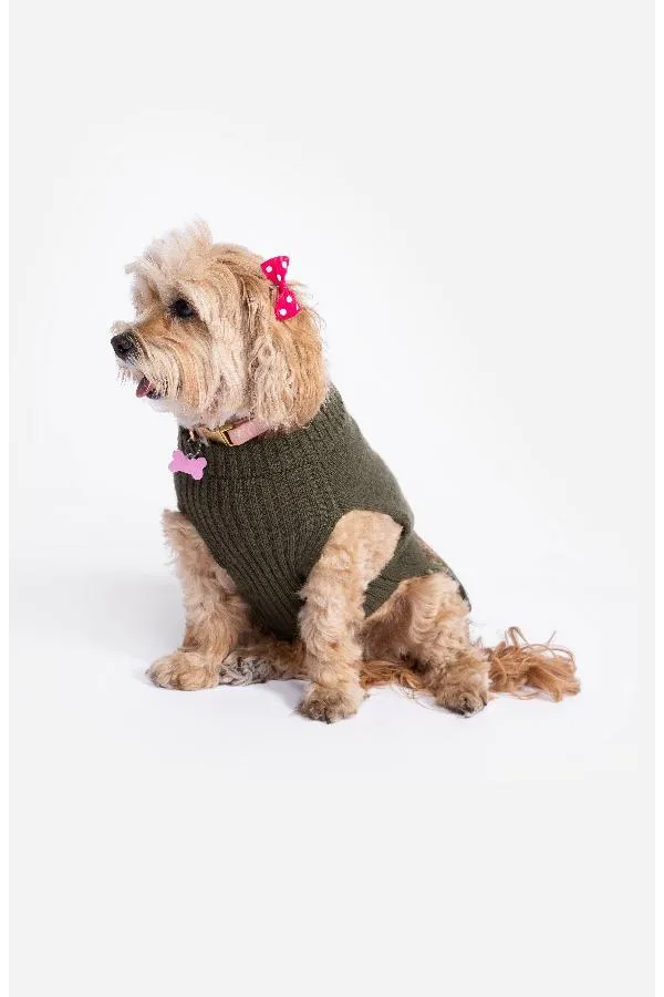 Johnny Was Zuzu Embroidered Dog Sweater M69423